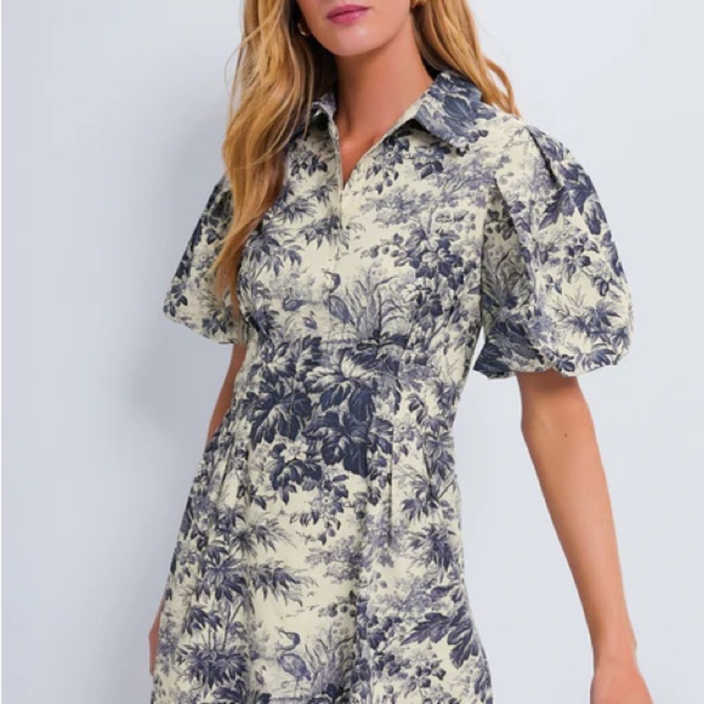 Tuckernuck Navy Toile Mini Delaney Dress